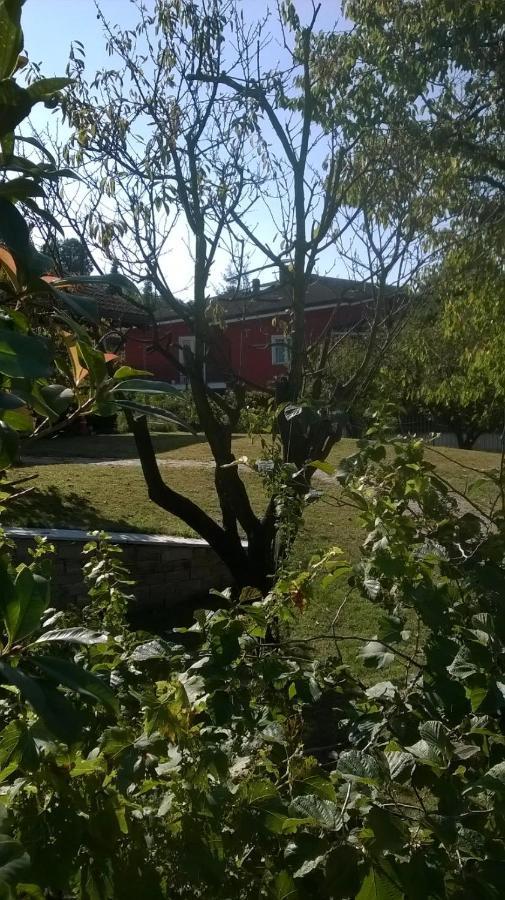 Bed and Breakfast 'L Sass Borgomanero Exterior foto