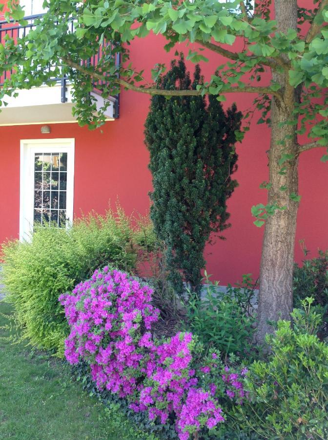 Bed and Breakfast 'L Sass Borgomanero Exterior foto