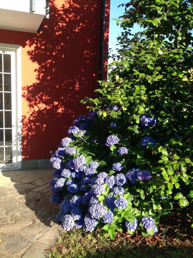 Bed and Breakfast 'L Sass Borgomanero Exterior foto