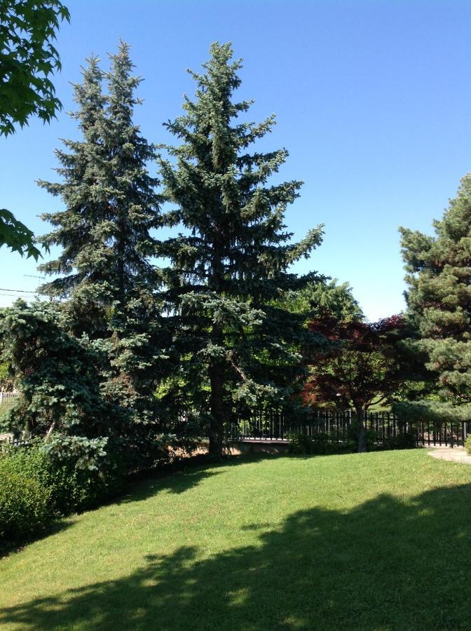 Bed and Breakfast 'L Sass Borgomanero Exterior foto