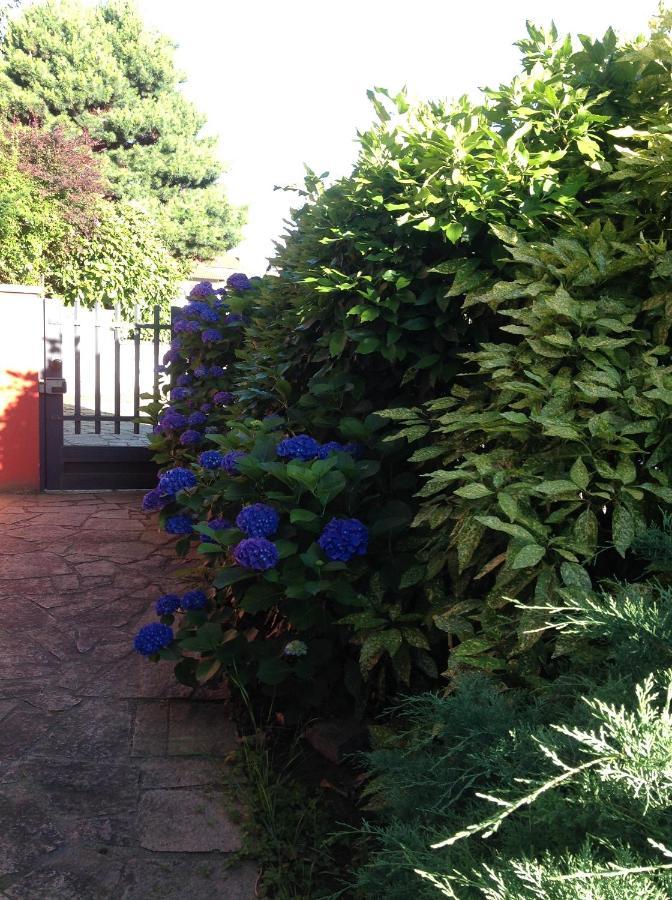 Bed and Breakfast 'L Sass Borgomanero Exterior foto